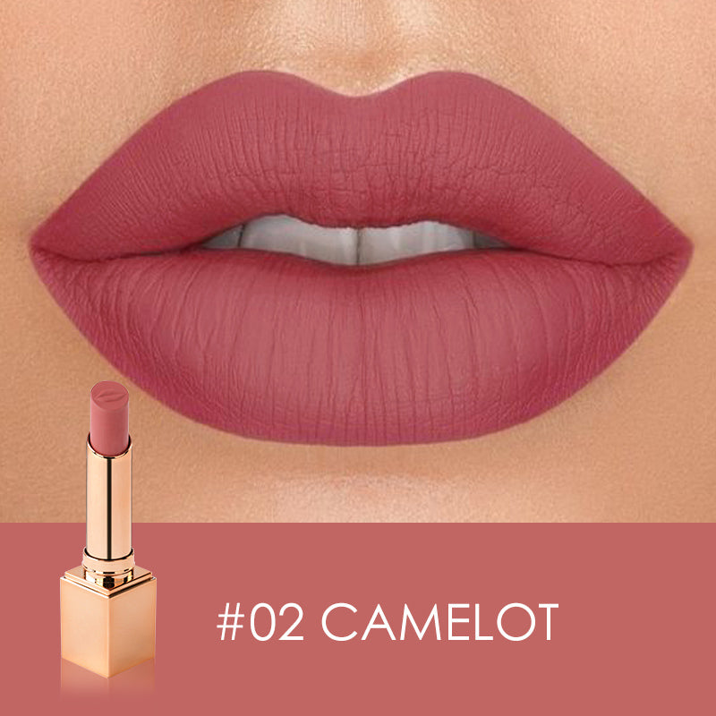 Matte Moisuturizer lips makeup