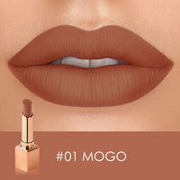 Matte Moisuturizer lips makeup
