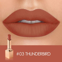 Matte Moisuturizer lips makeup