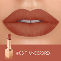 Matte Velvet Lip Stick