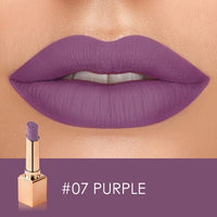 Matte Velvet Lip Stick
